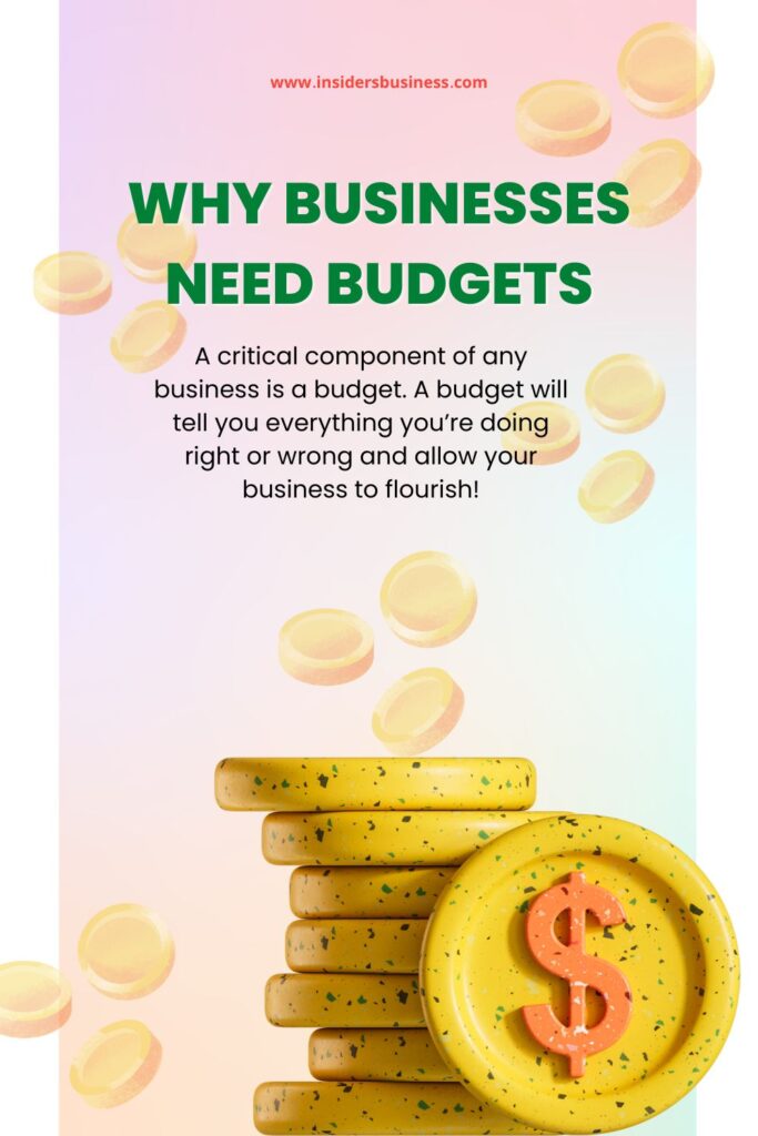 image-of-money-in-dollars-blog-title-Why-Businesses-Need-Budgets-Pinterest-Pin